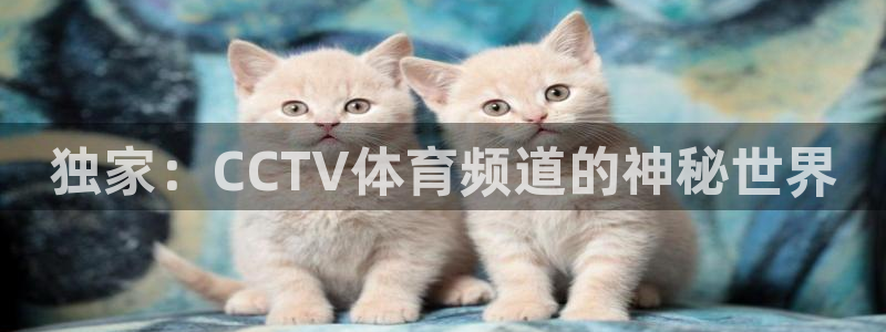 jr看球直播