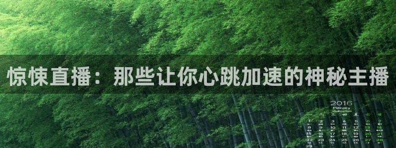 jr看直播nba
