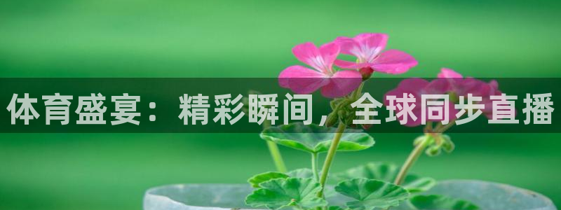 jrkan体育在线直播免费观看