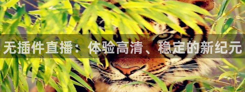 jrkan直播免费高清体育直播：无插件直播：体验高清、稳定的新纪元