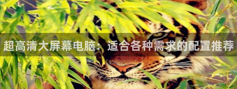 jr看球直播网：超高清大屏幕电脑：适合各种需求的配置推荐